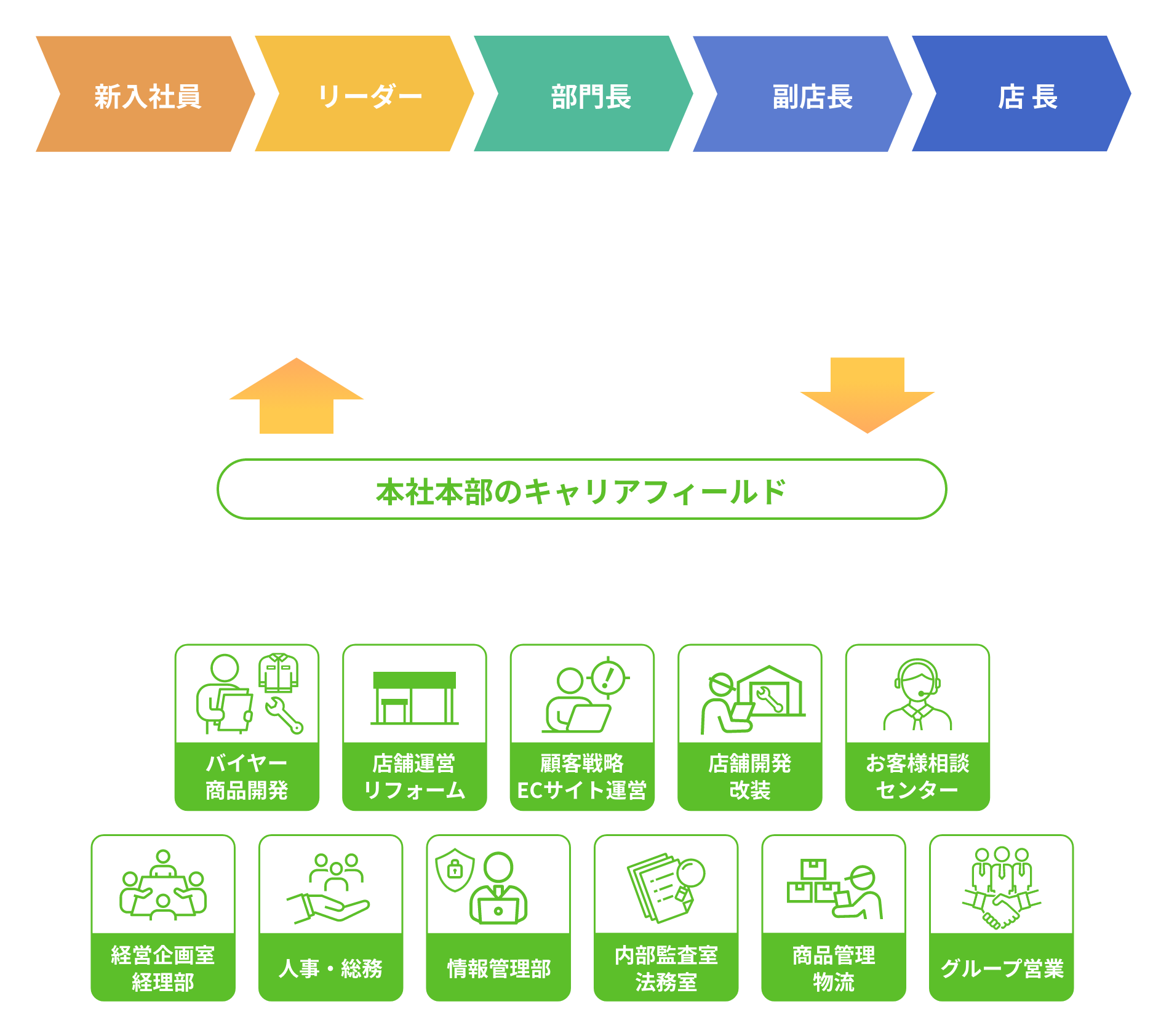新入社員 リーダー 部門長 副店長 店長 本社本部のキャリアフィールド 本社本部では運営、管理、営業、開発、経営など多岐にわたる部署があり、“店舗を支える”使命を持っています。バイヤー商品開発 店舗運営リフォーム 顧客戦略ECサイト運営 店舗開発階層 お客様相談センター 経営企画室経理部 人事・総務 情報管理部 内部監査室法務室 商品管理物流 グループ営業